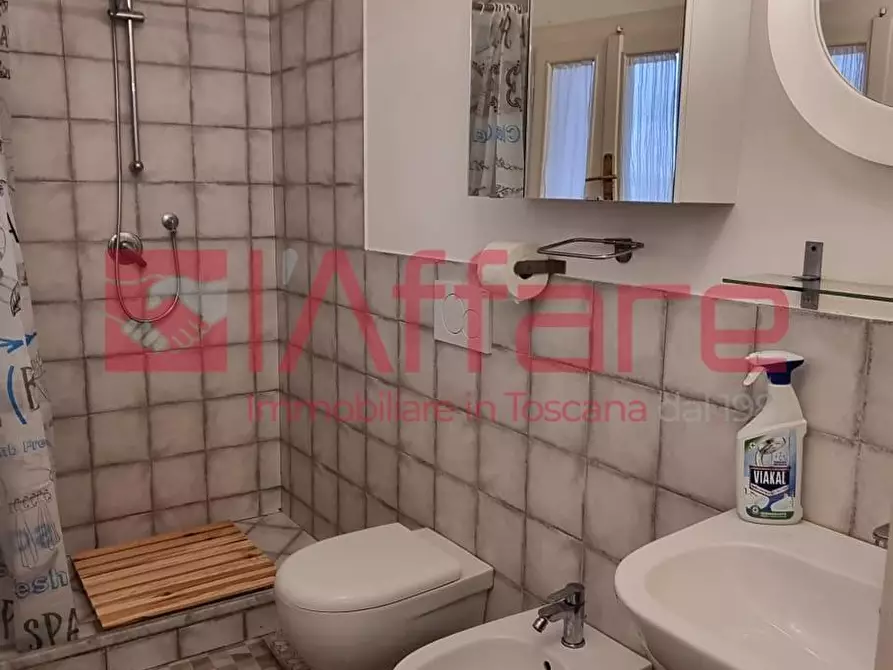 Immagine 37 di Appartamento in affitto  a Pontedera