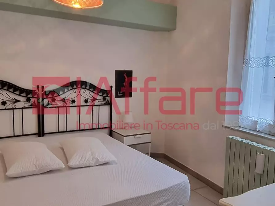 Immagine 29 di Appartamento in affitto  a Pontedera