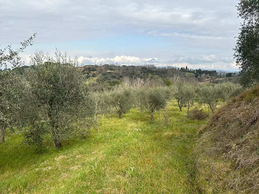 Immagine 1 di Terreno agricolo in vendita  a Empoli