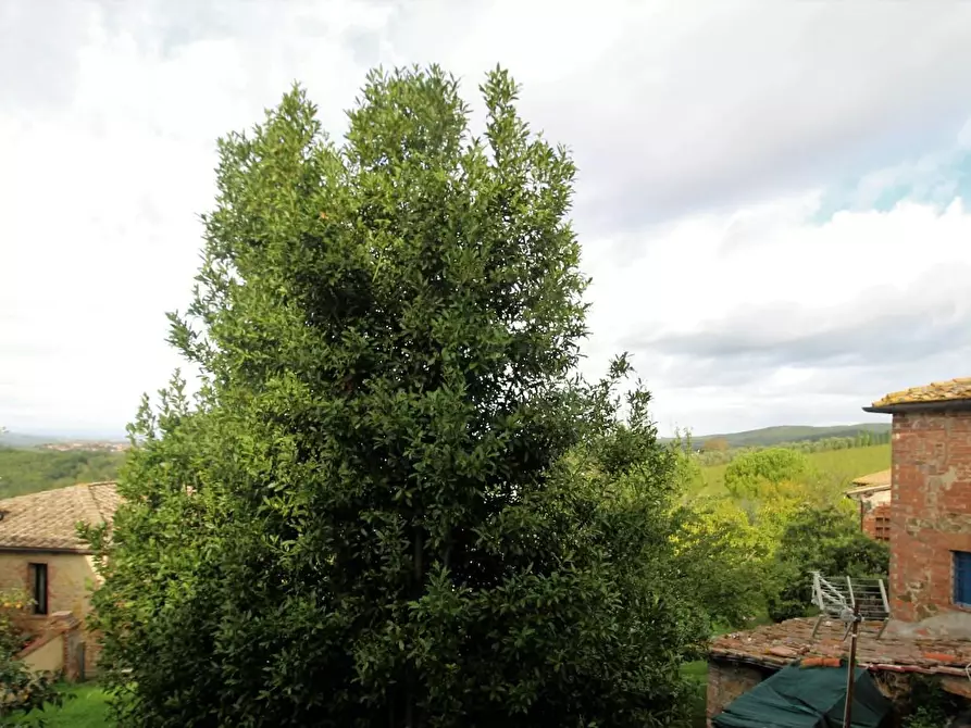 Immagine 8 di Porzione di casa in vendita  a Castelnuovo Berardenga