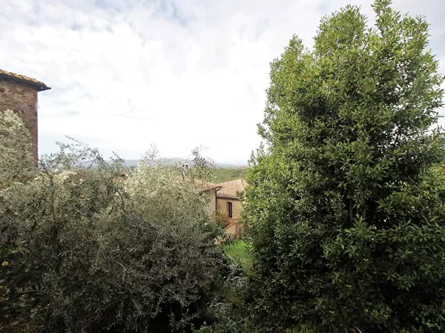 Immagine 10 di Porzione di casa in vendita  a Castelnuovo Berardenga