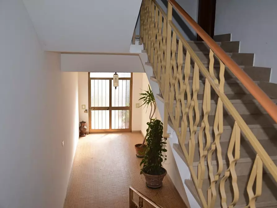 Immagine 9 di Appartamento in vendita  a San Giuliano Terme