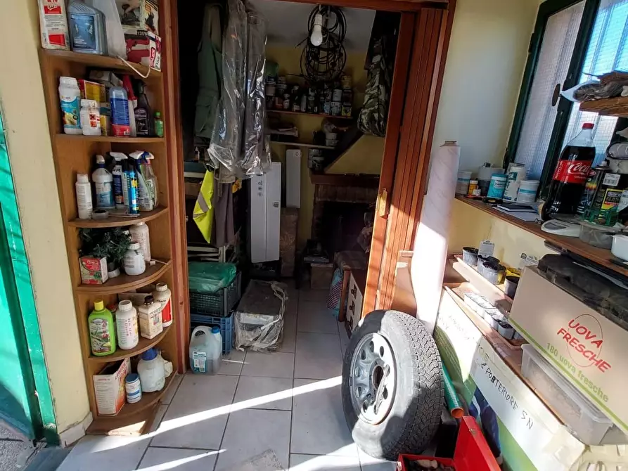 Immagine 15 di Appartamento in vendita  a Buti