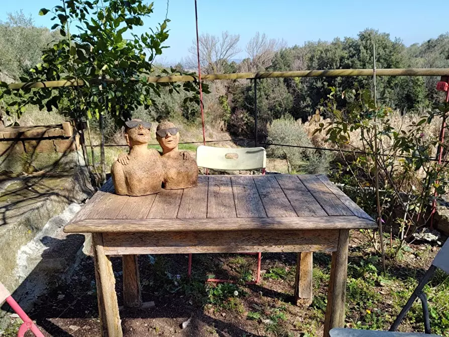 Immagine 26 di Rustico / casale in vendita  a Chianni