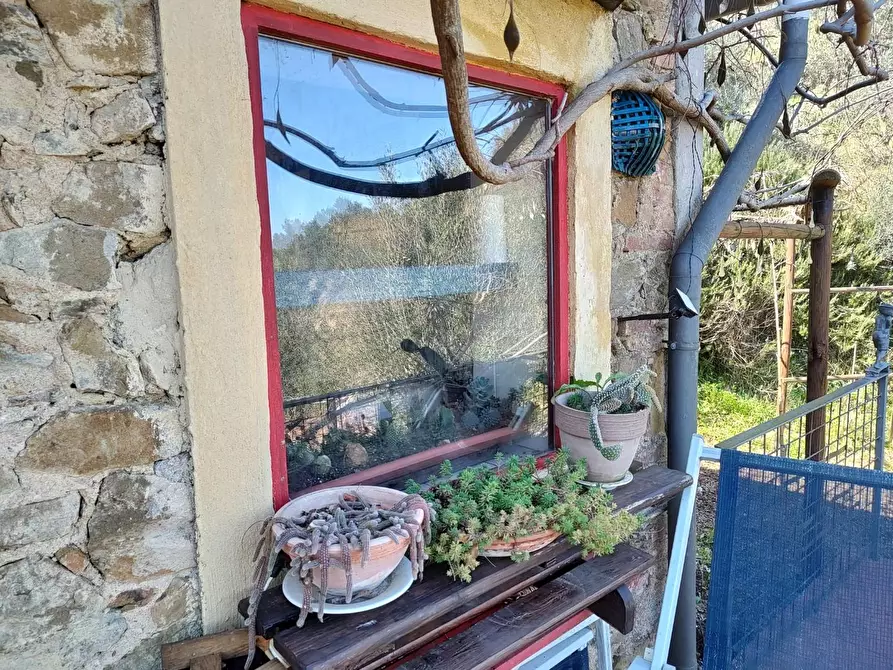 Immagine 31 di Rustico / casale in vendita  a Chianni