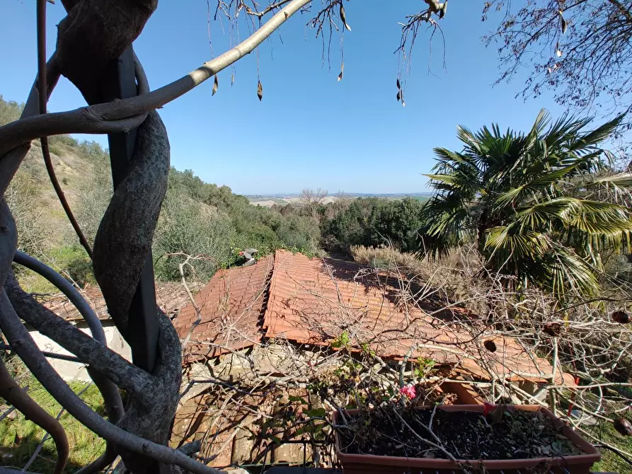 Immagine 30 di Rustico / casale in vendita  a Chianni