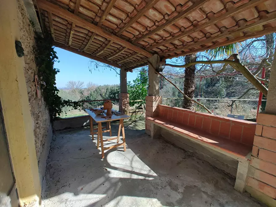 Immagine 25 di Rustico / casale in vendita  a Chianni