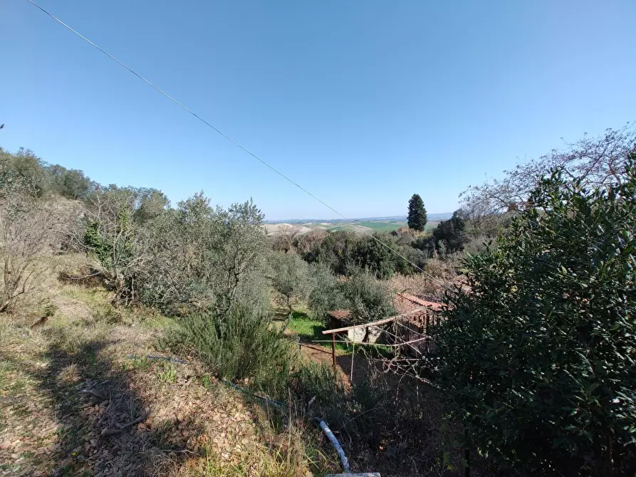 Immagine 28 di Rustico / casale in vendita  a Chianni