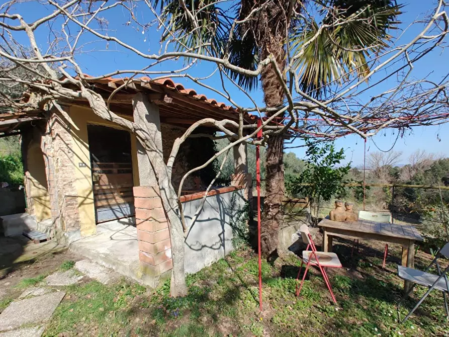 Immagine 24 di Rustico / casale in vendita  a Chianni