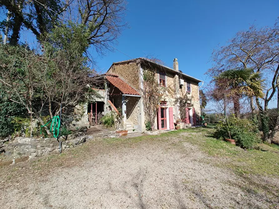 Immagine 23 di Rustico / casale in vendita  a Chianni