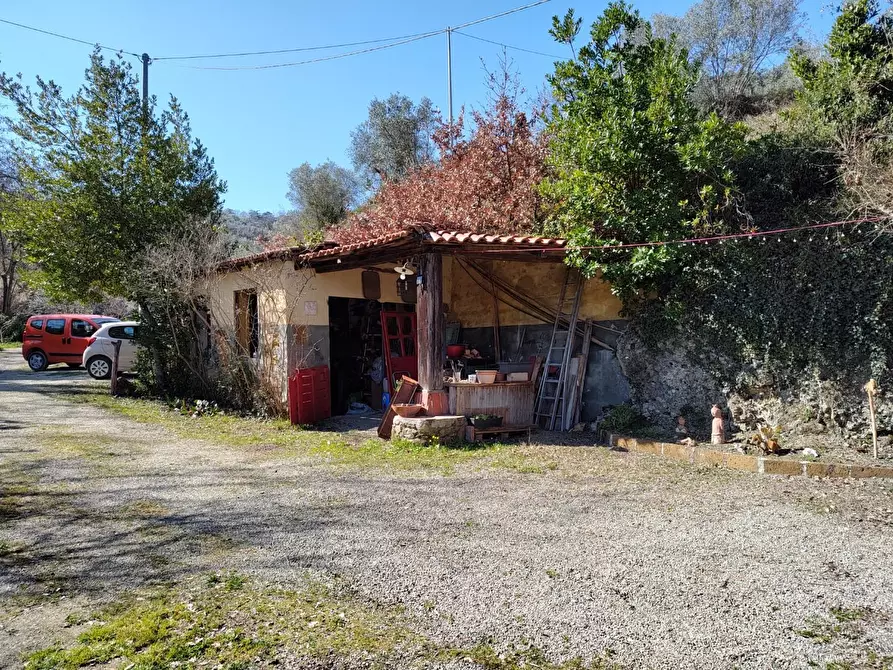 Immagine 32 di Rustico / casale in vendita  a Chianni