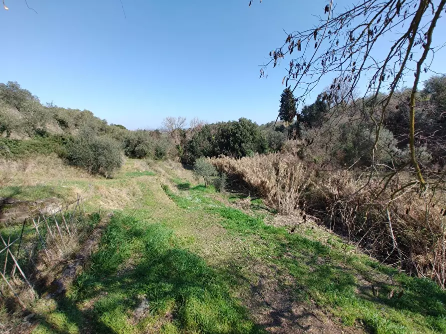 Immagine 27 di Rustico / casale in vendita  a Chianni