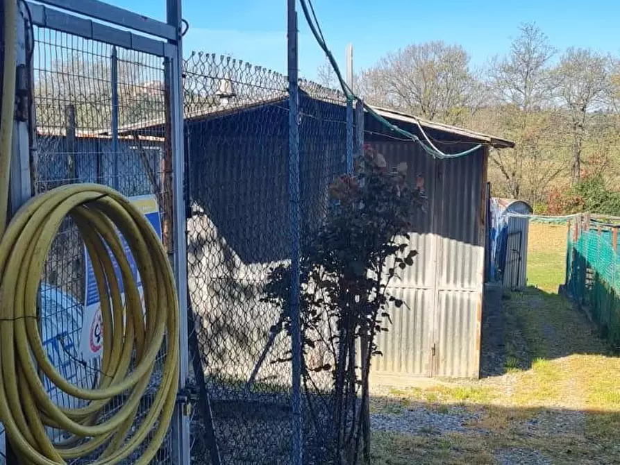 Immagine 29 di Appartamento in vendita  a Terricciola