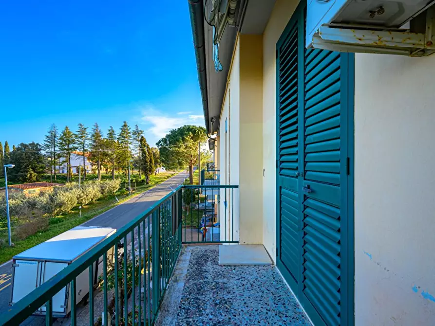 Immagine 23 di Appartamento in vendita  a Terricciola