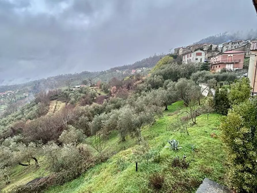 Immagine 38 di Casa indipendente in vendita  a Fivizzano