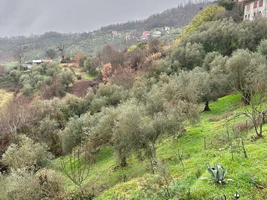 Immagine 39 di Casa indipendente in vendita  a Fivizzano
