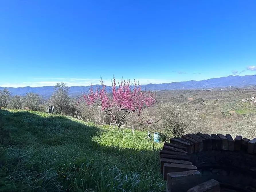Immagine 67 di Casa indipendente in vendita  a Fivizzano