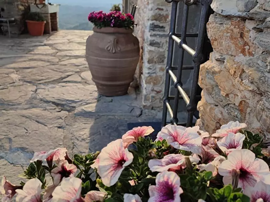 Immagine 65 di Casa indipendente in vendita  a Fivizzano