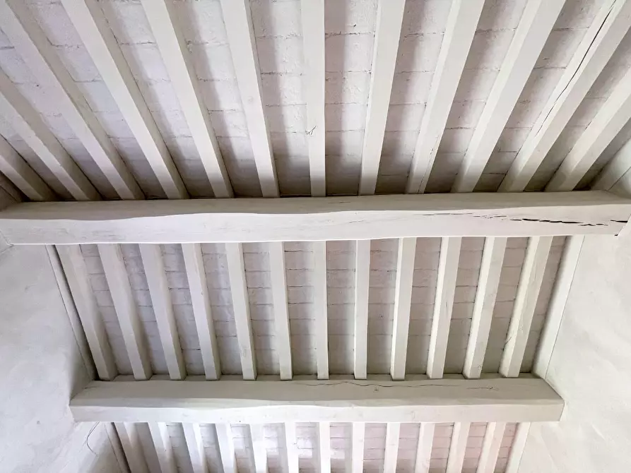 Immagine 24 di Casa indipendente in vendita  a Camaiore