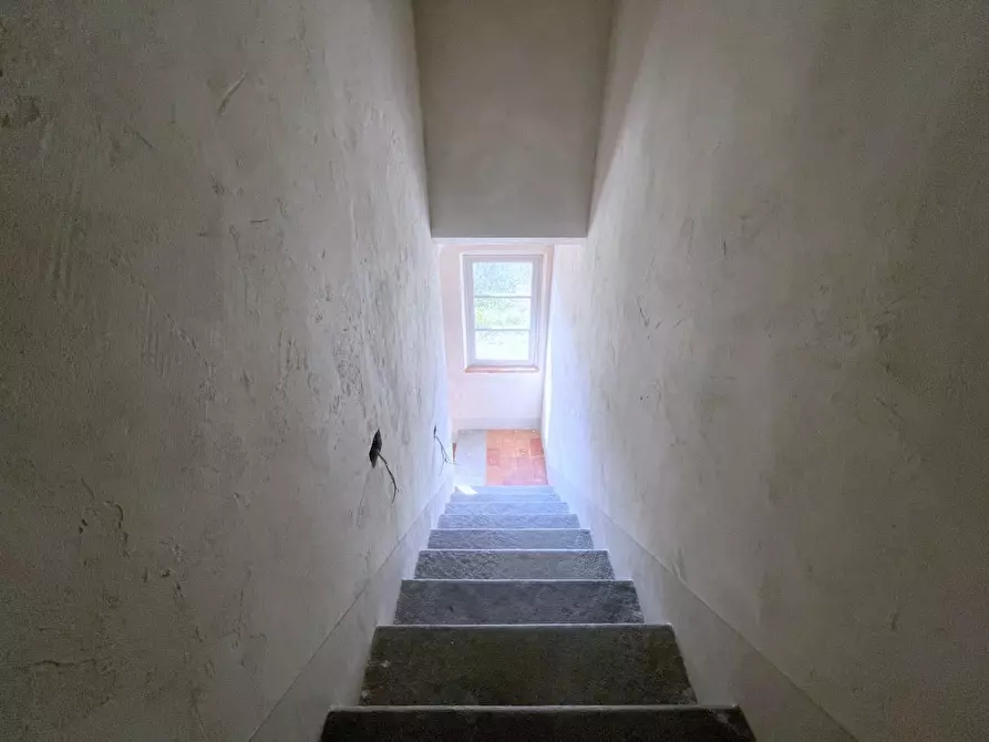 Immagine 17 di Casa indipendente in vendita  a Camaiore