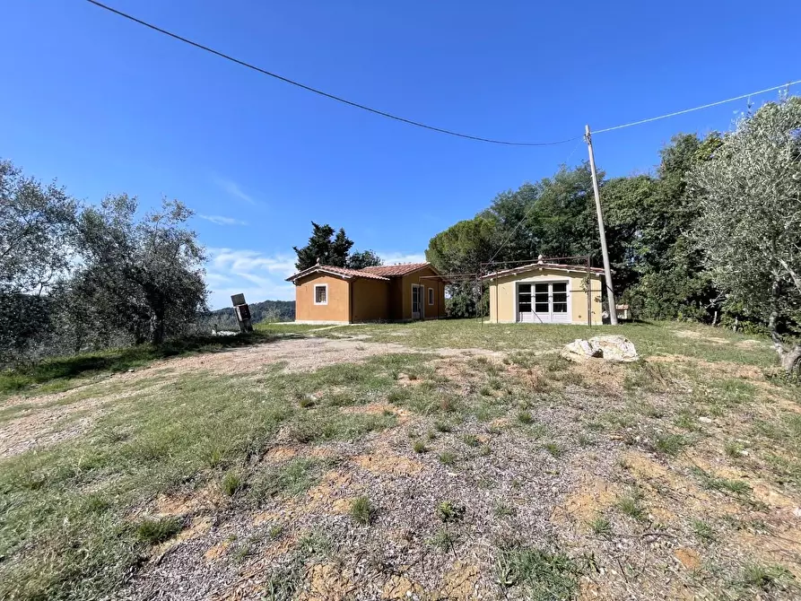 Immagine 3 di Casa indipendente in vendita  a Camaiore