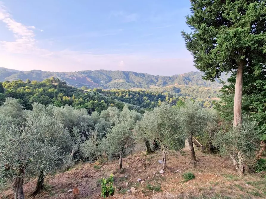 Immagine 32 di Casa indipendente in vendita  a Camaiore