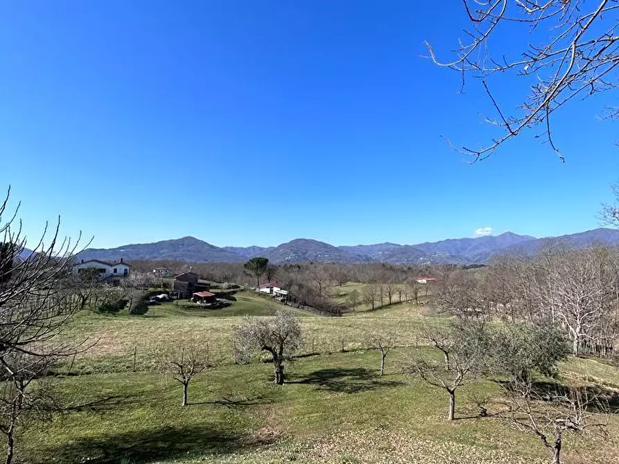 Immagine 47 di Casa indipendente in vendita  a Licciana Nardi