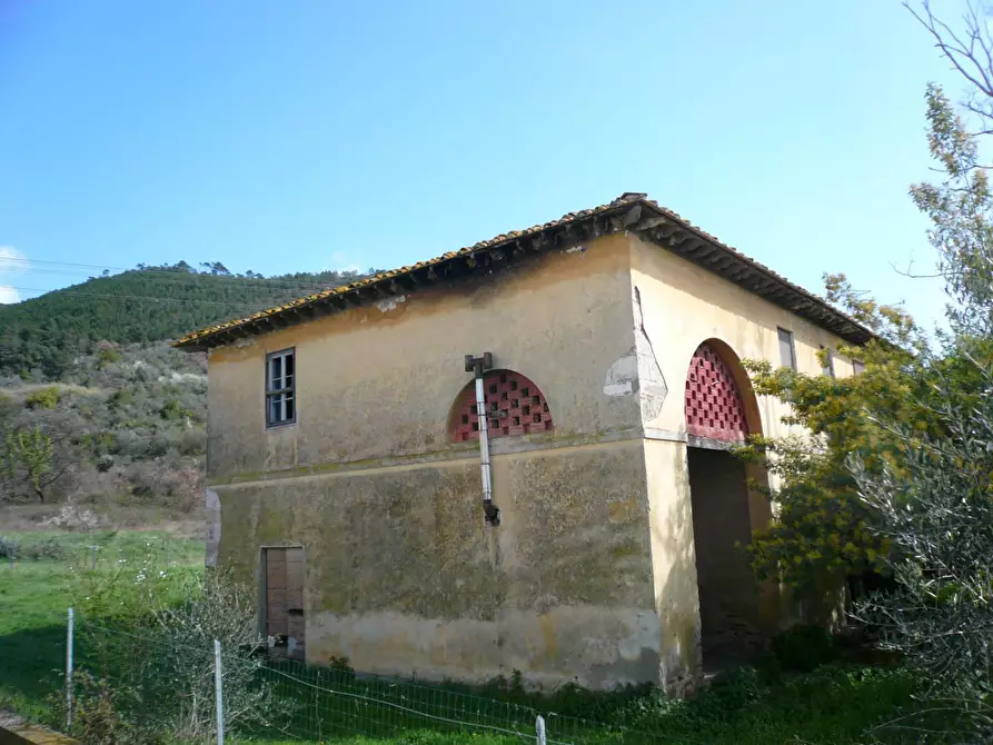 Immagine 1 di Casa indipendente in vendita  a Calci