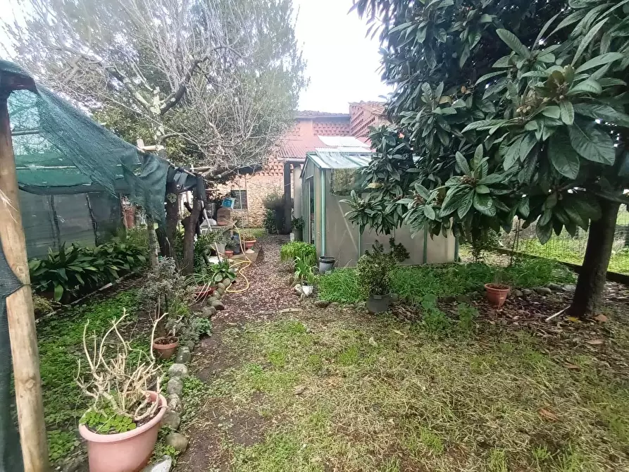 Immagine 21 di Deposito in vendita  a Capannori