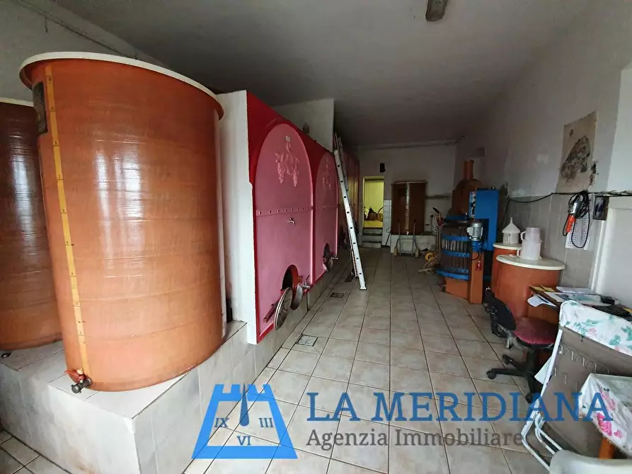 Immagine 25 di Terratetto in vendita  a Vinci