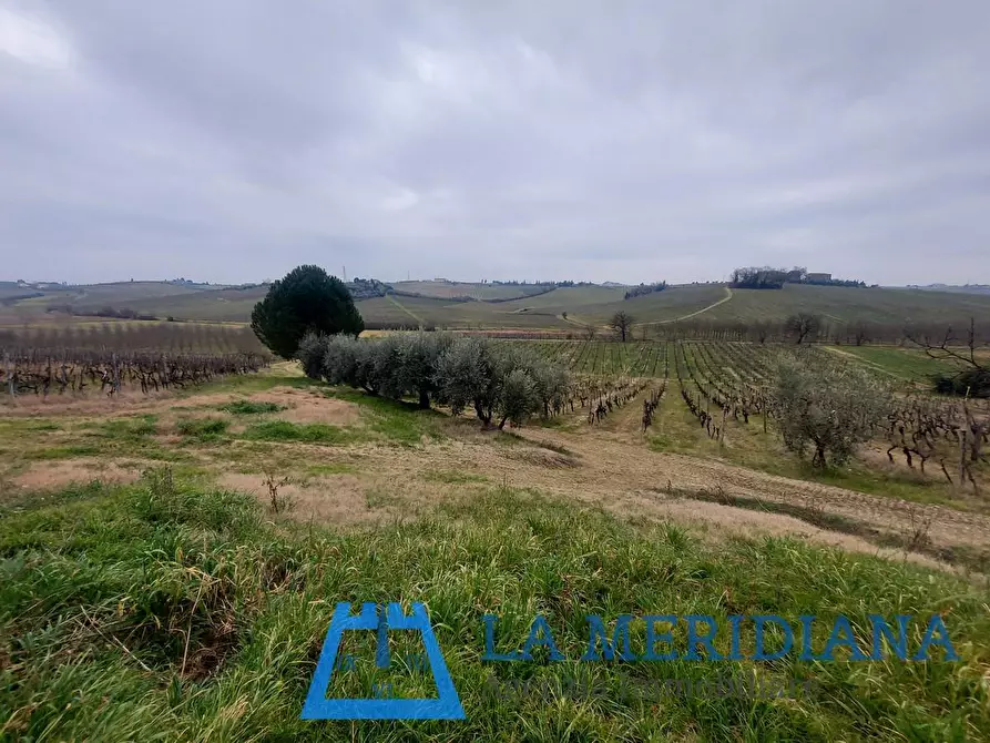 Immagine 36 di Terratetto in vendita  a Vinci