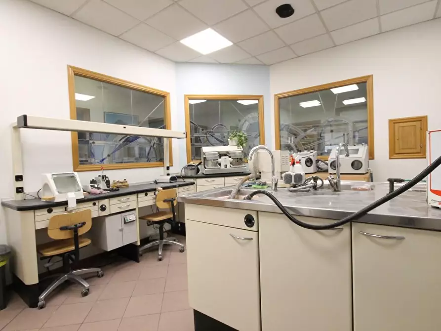 Immagine 7 di Ufficio in affitto  a Lucca