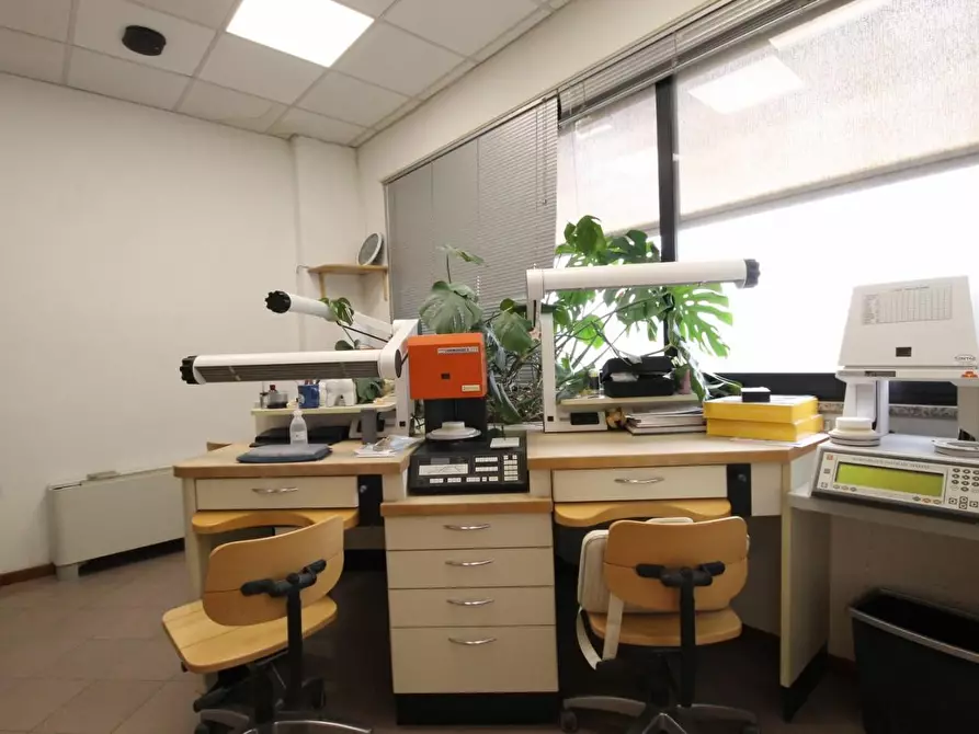 Immagine 5 di Ufficio in affitto  a Lucca