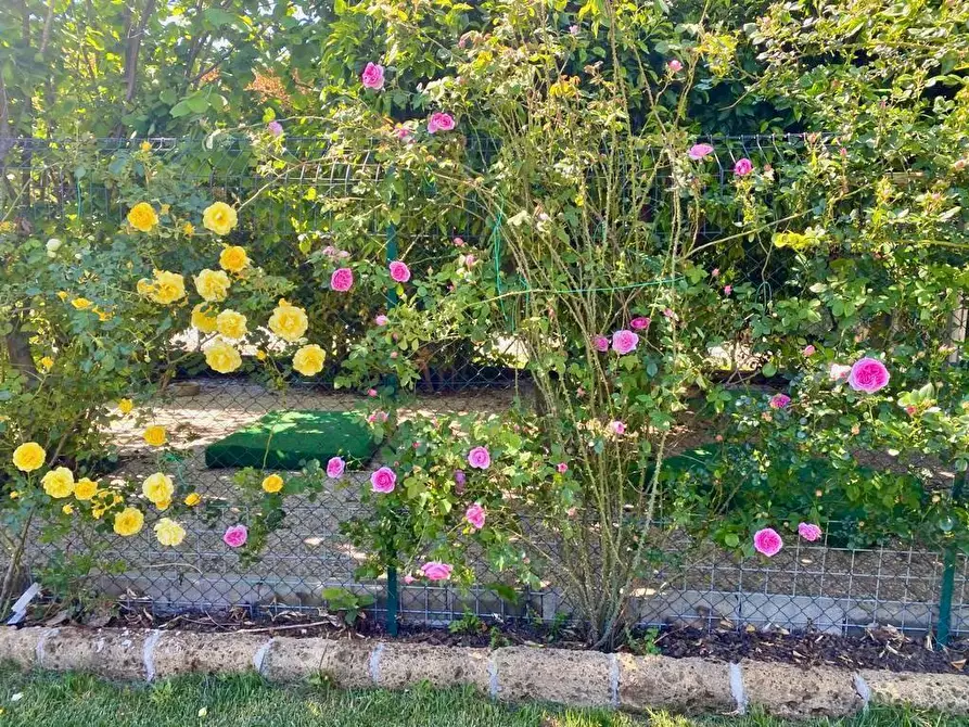 Immagine 45 di Villa in vendita  a San Giuliano Terme