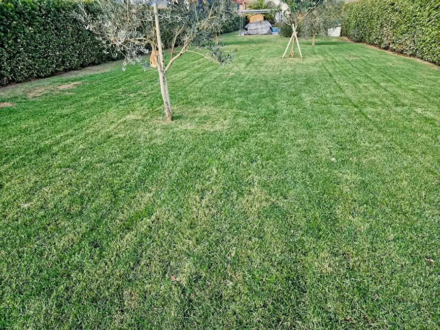 Immagine 6 di Villa in vendita  a San Giuliano Terme