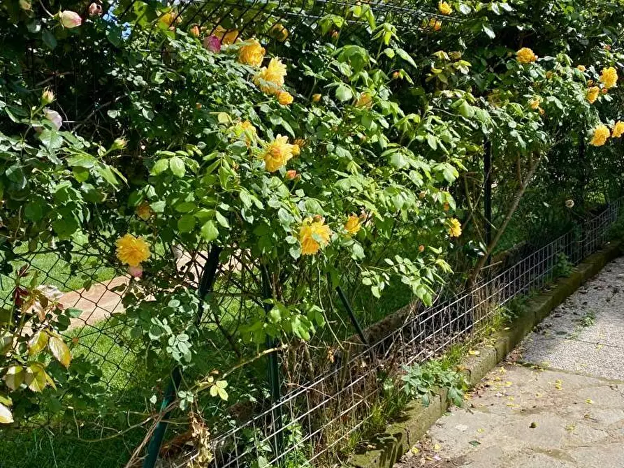 Immagine 44 di Villa in vendita  a San Giuliano Terme