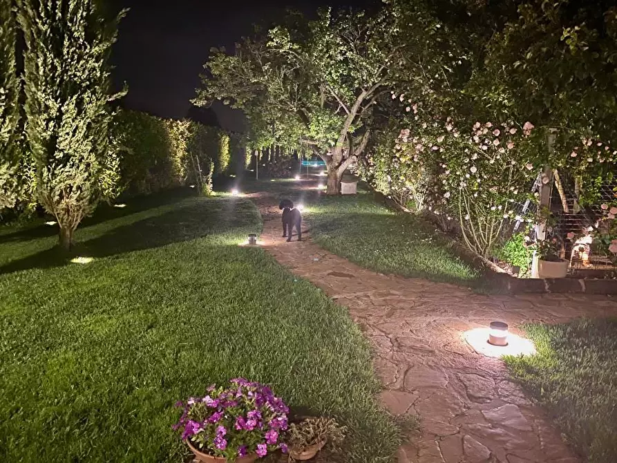 Immagine 4 di Villa in vendita  a San Giuliano Terme