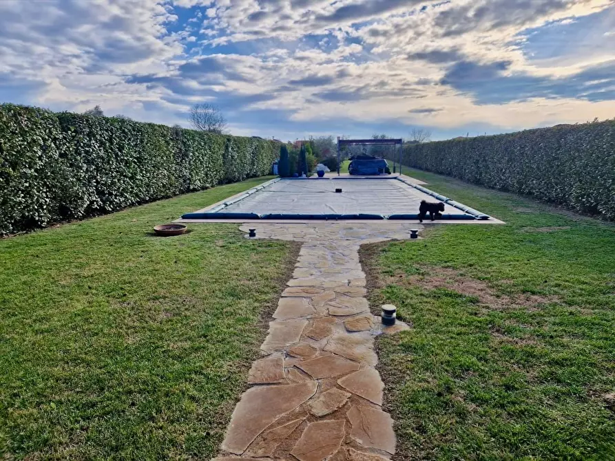 Immagine 7 di Villa in vendita  a San Giuliano Terme