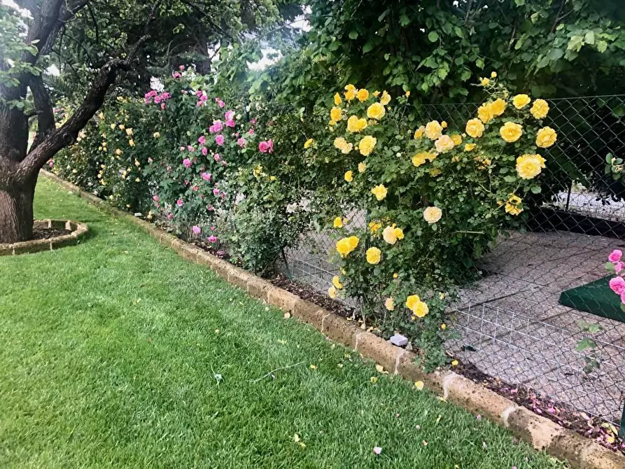 Immagine 43 di Villa in vendita  a San Giuliano Terme