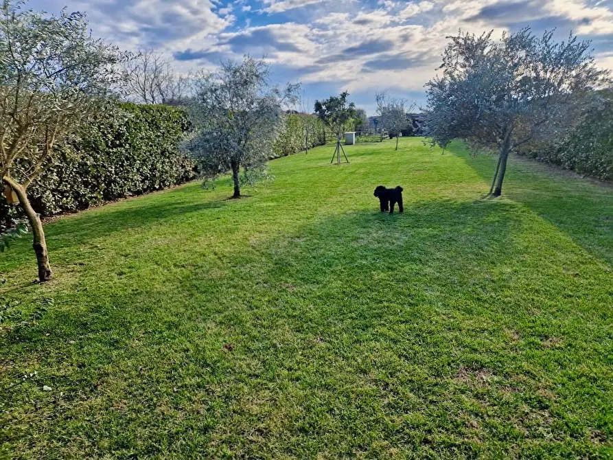 Immagine 5 di Villa in vendita  a San Giuliano Terme