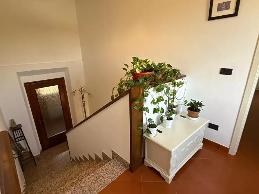 Immagine 43 di Rustico / casale in vendita  a Vicopisano