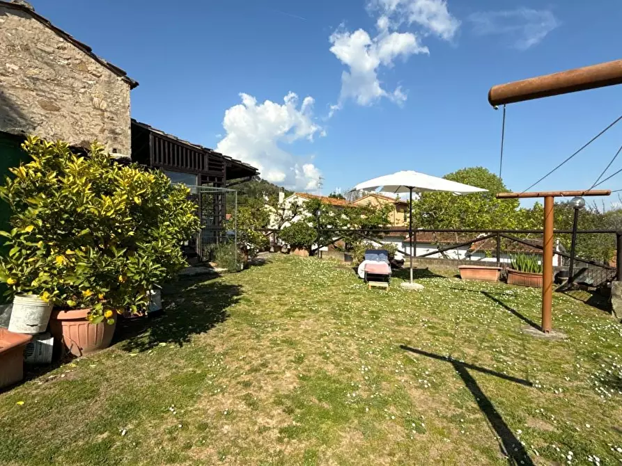 Immagine 50 di Rustico / casale in vendita  a Vicopisano