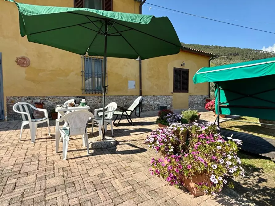 Immagine 55 di Rustico / casale in vendita  a Vicopisano