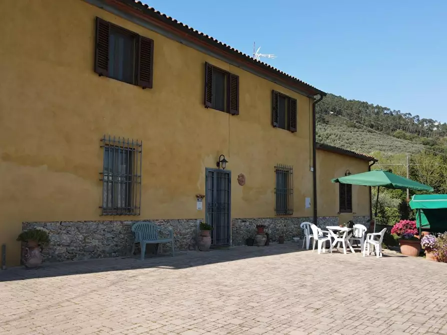 Immagine 71 di Rustico / casale in vendita  a Vicopisano