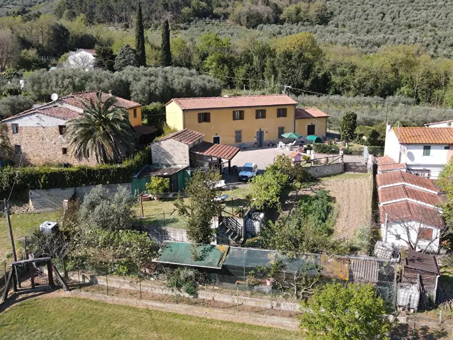 Immagine 60 di Rustico / casale in vendita  a Vicopisano