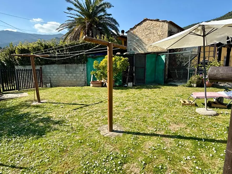 Immagine 48 di Rustico / casale in vendita  a Vicopisano