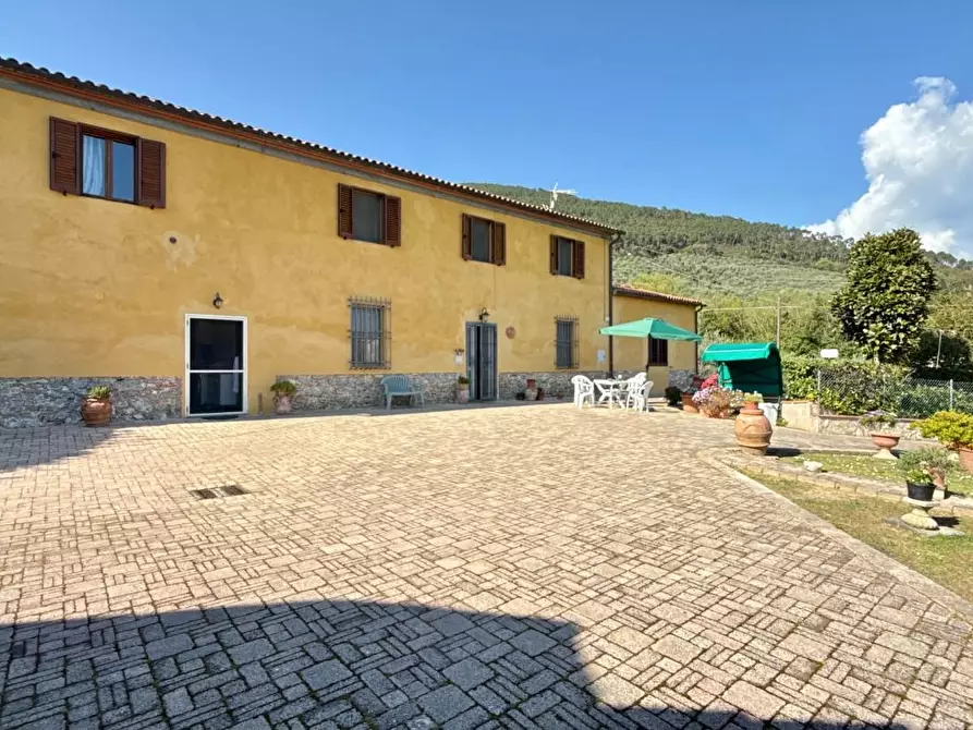 Immagine 52 di Rustico / casale in vendita  a Vicopisano