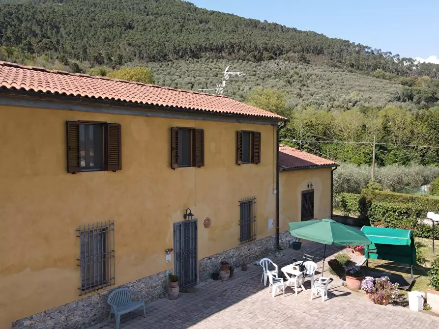 Immagine 72 di Rustico / casale in vendita  a Vicopisano