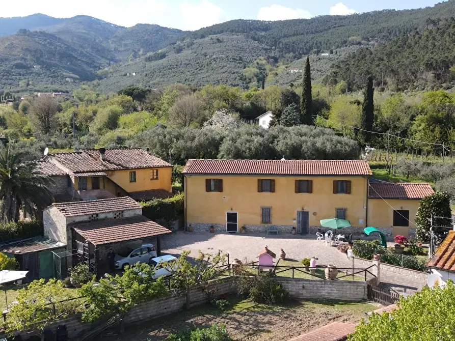 Immagine 70 di Rustico / casale in vendita  a Vicopisano