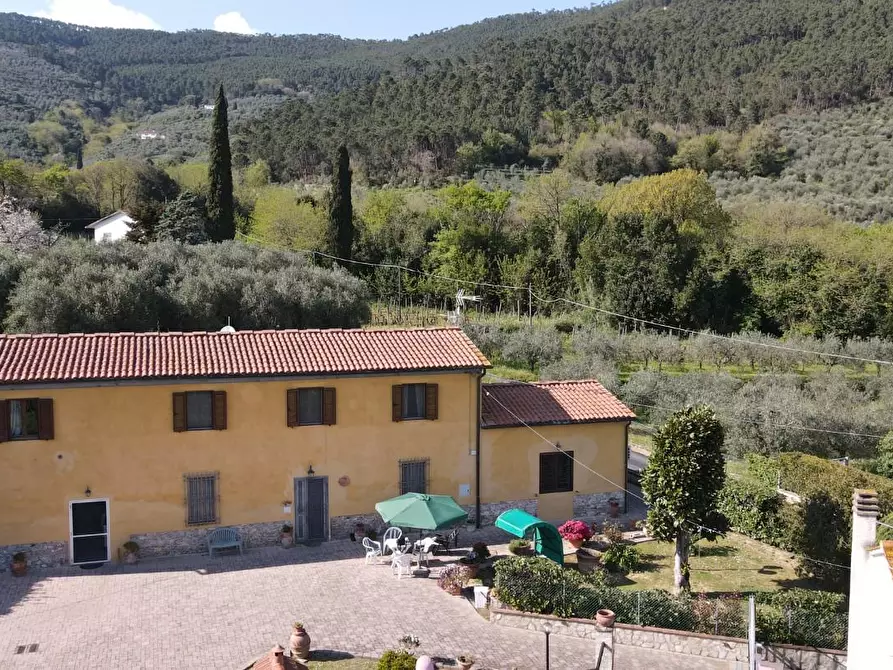 Immagine 68 di Rustico / casale in vendita  a Vicopisano